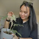 AlyNPlants