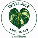W_Tropicals