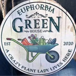 EuphorbiaGreenhouse
