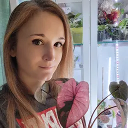 PlantParade
