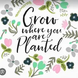 BPlantyLove