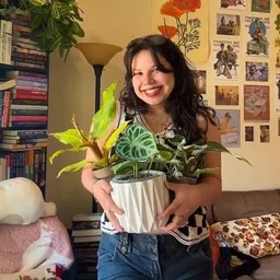 House_of_books_and_plants