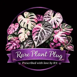 RarePlantPlug