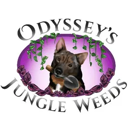 OdysseysJungleWeeds
