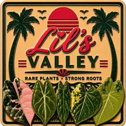 LilsValley