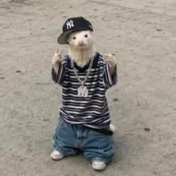 DamnitFrazr