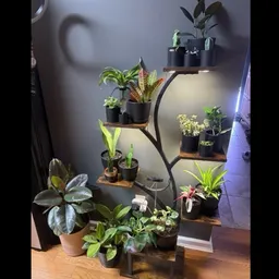 KeriCultivates
