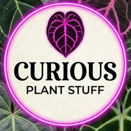 CuriousPlantStuff