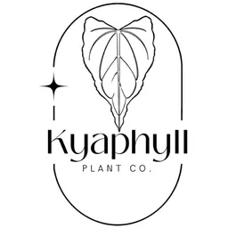kyaphyllplantco