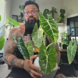 PlantDaddyTank