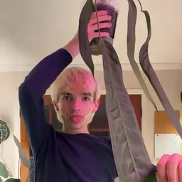 Vanillahomo
