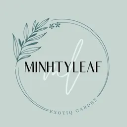 Minhtyleaf