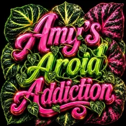 AmysAroidAddiction
