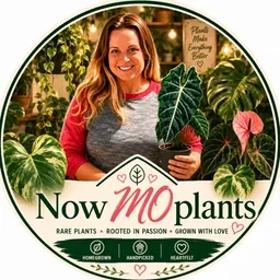 NowMOPlants