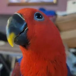 BeckyF