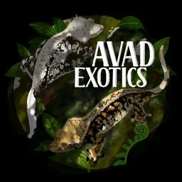 Avad_Exotics