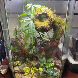 Somethingsfishy