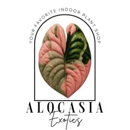 AlocasiaExotics