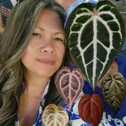 I_HEART_PLANTS_KC