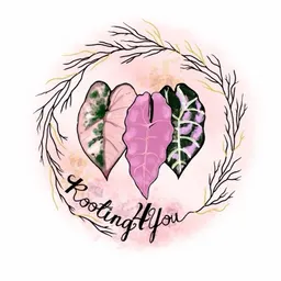 Rooting4Youu