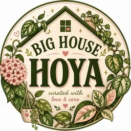BigHouseHoya
