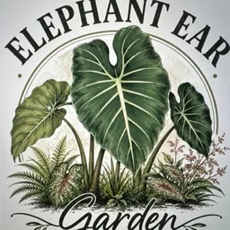 ElephantEarGarden