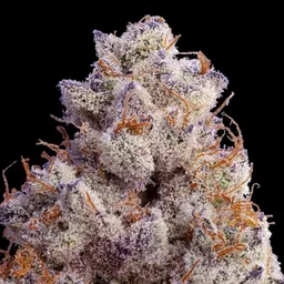MyLittleCannabisFam