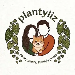 plantyliz
