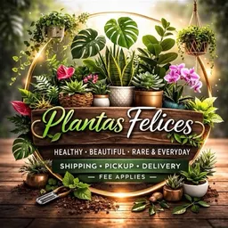 PlantasFelices