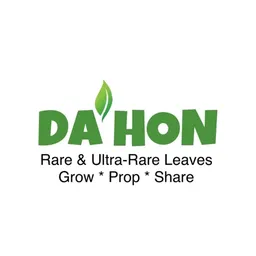 Dahon