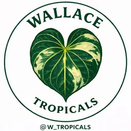 W_Tropicals