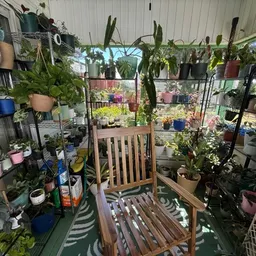 thehikingplantlady