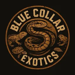 BlueCollarExotics