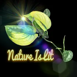 NatureIsLit