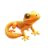 Reptile